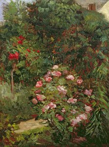 Gruppo di Fiori